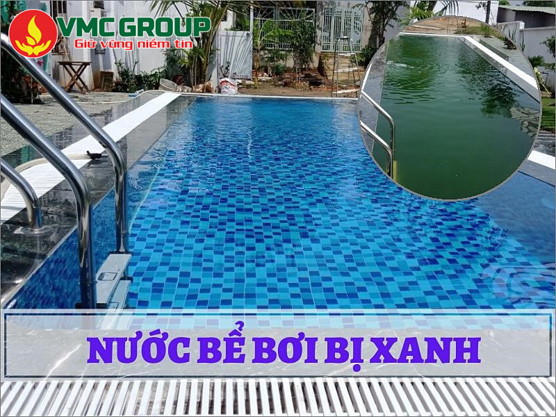 HƯỚNG DẪN XỬ LÝ NƯỚC BỂ BƠI BỊ XANH