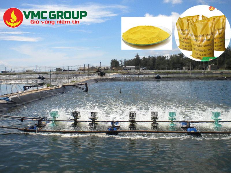 Hướng dẫn sử dụng hóa chất PAC trong thủy sản