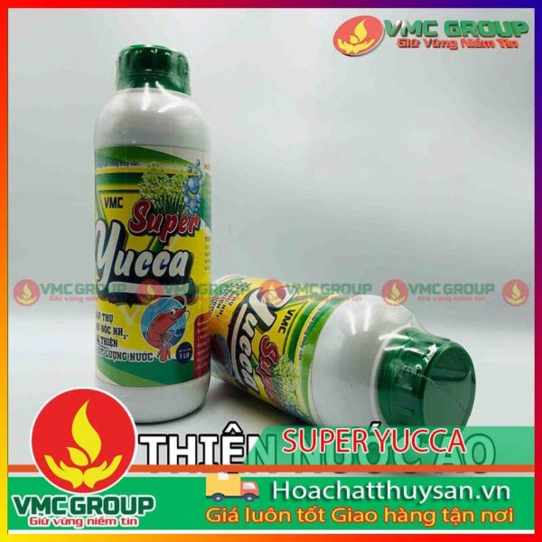 Mua Yucca tại Việt Mỹ đảm bảo chất lượng cao