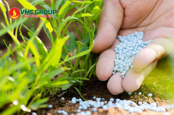 Mono ammonium phosphate được dùng nhiều trong sản xuất phân bón