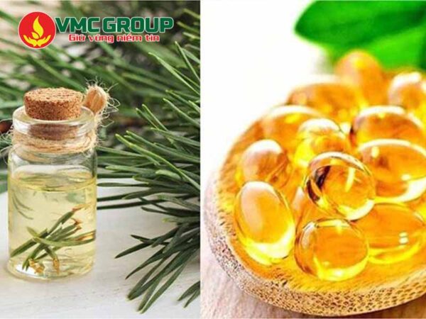 Tìm hiểu về dầu thông