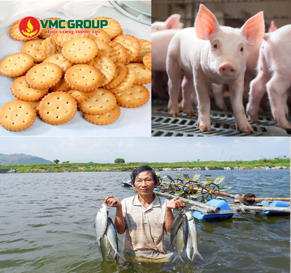 Bicar food - Bicar Z được dùng chủ yếu trong ngành thực phẩm, chăn nuôi, thủy sản