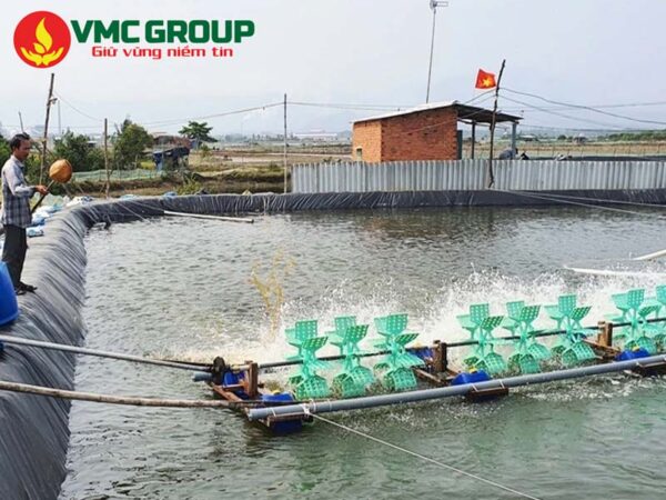 Công dụng của Povidone Iodine trong thủy sản