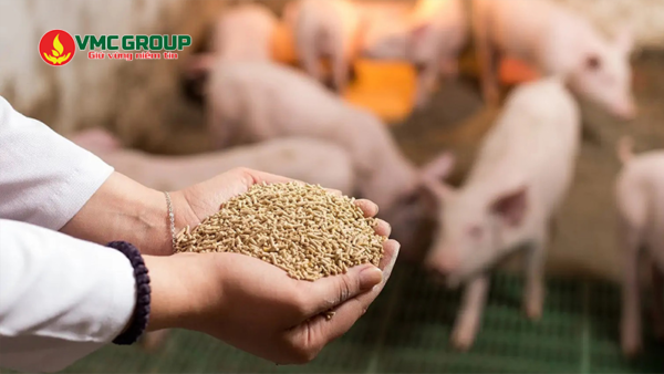 Bentonite được dùng trong sản xuất thức ăn chăn nuôi