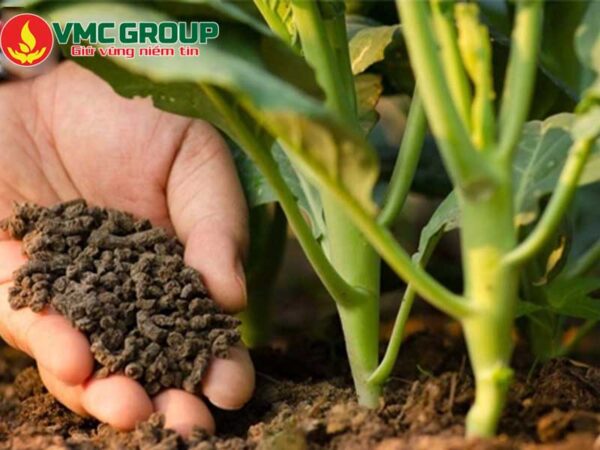 Cách sử dụng Humate- Acid Humic trong nông nghiệp hiệu quả.