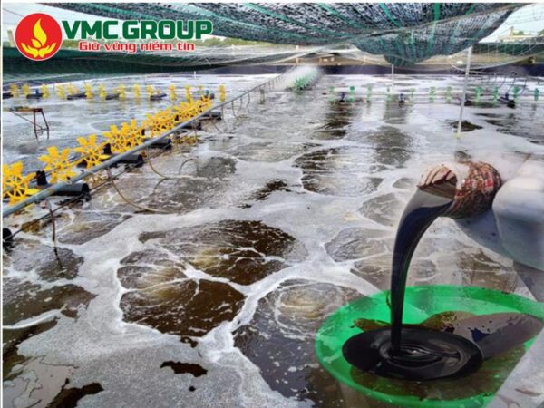 ỨNG DỤNG CỦA RỈ MẬT TRONG NUÔI VI SINH XỬ LÝ NƯỚC THẢI VÀ AO NUÔI THỦY SẢN