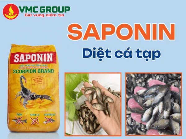 Cách sử dụng Saponin để diệt cá tạp