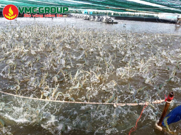 Cách dùng oxy viên hiệu quả 