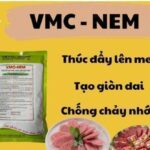 VMC NEM1