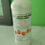 hương khói hương khói