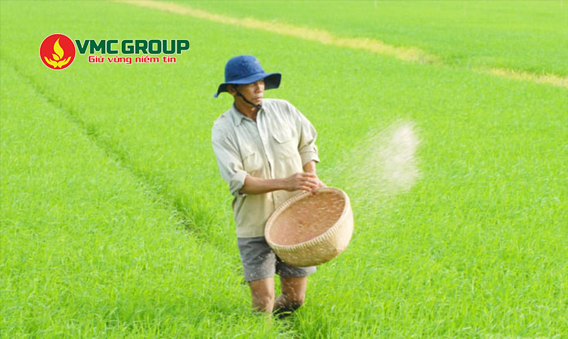 NH4Cl được dùng trong phân bón cho lúa