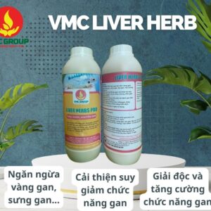 VMC LIVER HERB - THẢO DƯỢC ĐẶC TRỊ GAN