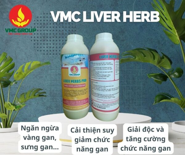 VMC LIVER HERB - THẢO DƯỢC ĐẶC TRỊ GAN