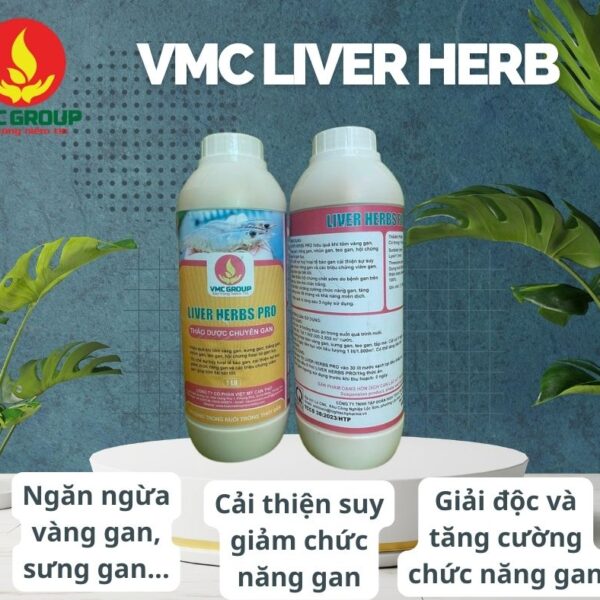 VMC LIVER HERB - THẢO DƯỢC ĐẶC TRỊ GAN