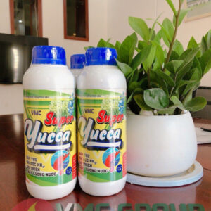 SUPER YUCCA HẤP THỤ NHANH KHÍ ĐỘC, CẤP CỨU TÔM CÁ NỔI ĐẦU