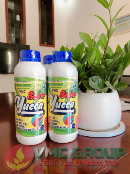 SUPER YUCCA HẤP THỤ NHANH KHÍ ĐỘC, CẤP CỨU TÔM CÁ NỔI ĐẦU