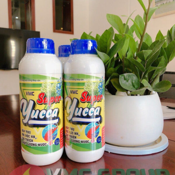 SUPER YUCCA HẤP THỤ NHANH KHÍ ĐỘC, CẤP CỨU TÔM CÁ NỔI ĐẦU
